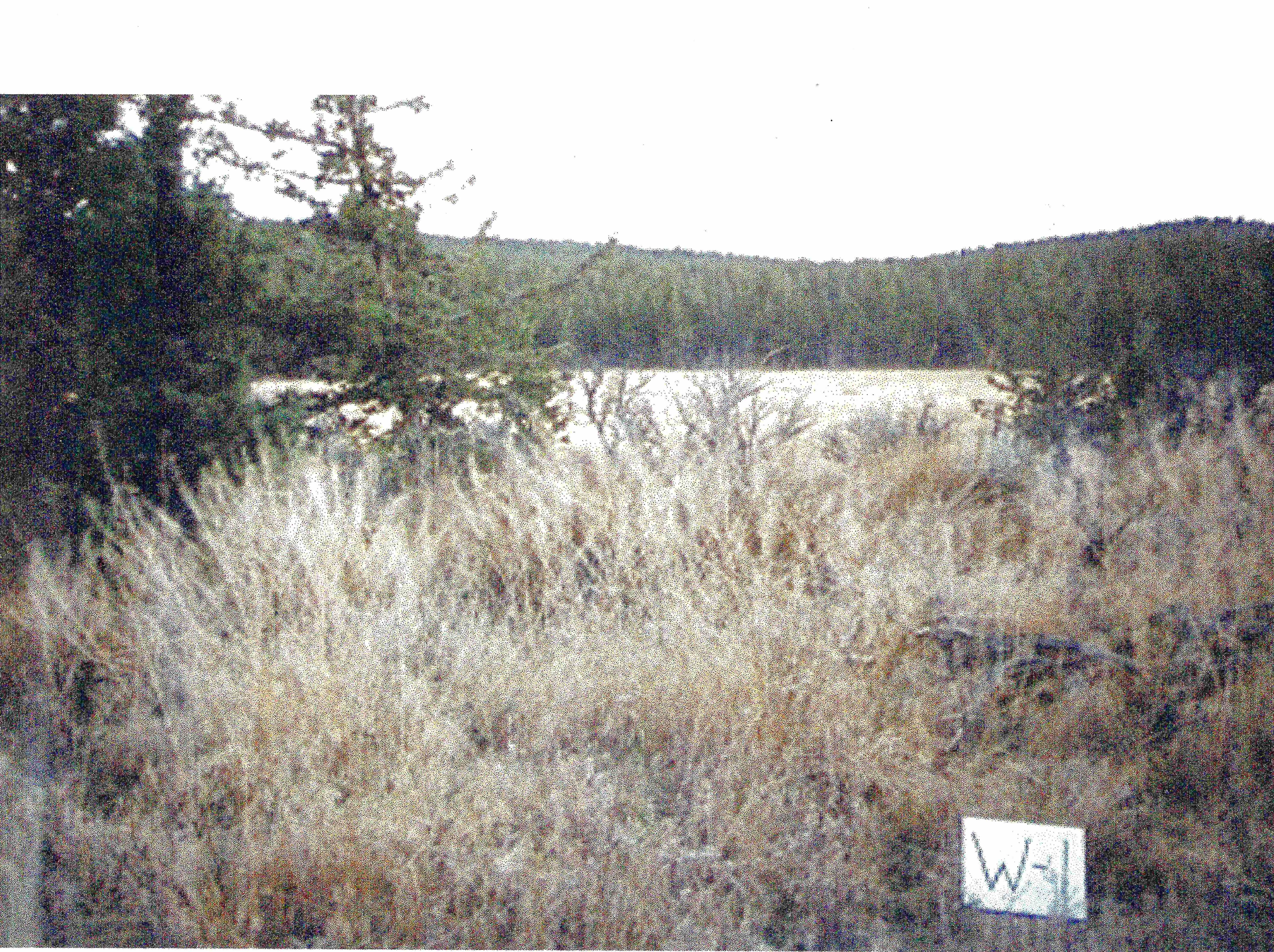 MRE W-1 Lot